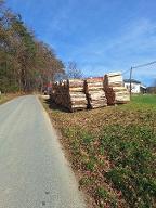 Brennholz Buche Ragnitz