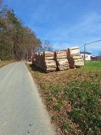 Brennholz Brennholz Buche
