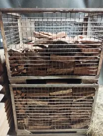 Brennholz Brennholz Fichte, Kiefer