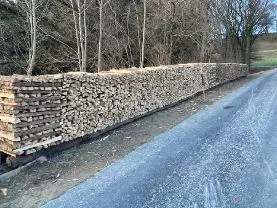 Brennholz Brennholz Buche trocken