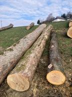 Rundholz Ahorn Teilweise Astrein Steinbach am Ziehberg 