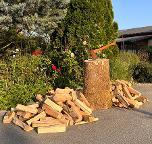 Brennholz Esche, Ahorn, Buche schön gespaltenes, trockenes Brennholz