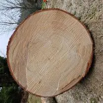 Holzprodukte Tannenholz für Brunnentrog