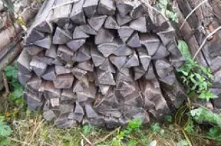 Brennholz Brennholz Esche Gebündelt