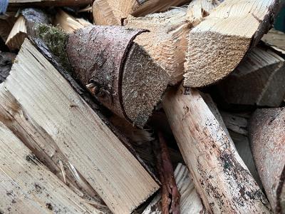 Brennholz Fichte, Kiefer