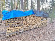 Brennholz Fichte Stainz