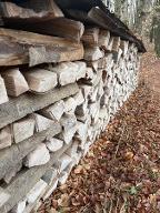 Brennholz Buche Gnas