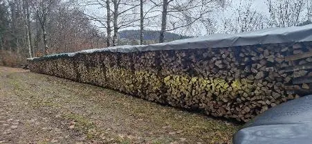 Brennholz Brennholz Buche
