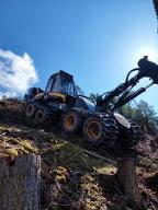 Dienstleistung Holzschlägerung-bringung Stocker Philipp  (Holzernte & Rückung)