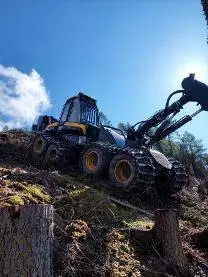 Dienstleistung Holzschlägerung-bringung Stocker Philipp  (Holzernte & Rückung)