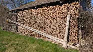 Brennholz Brennholz Fichte, Kiefer