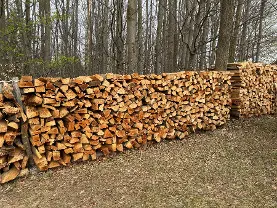 Brennholz Brennholz Esche, Buche
