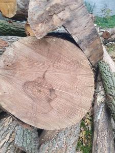 Sonstiges Holz Elsbeere