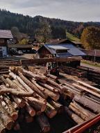 Dienstleistung Sägewerk Henseler  (Sägewerk)