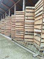 Brennholz Esche, Eiche, Buche