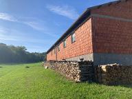 Brennholz Esche, Eiche, Buche Steyregg