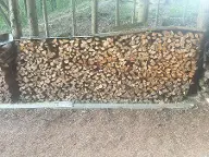 Brennholz Esche Mischendorf
