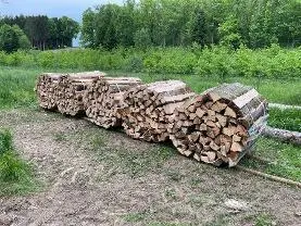 Brennholz Brennholz Eibe, Birke, Buche