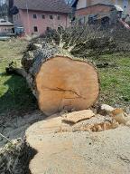 Rundholz Linde Straßwalchen