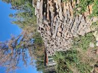 Brennholz Fichte, Birne, Esche
