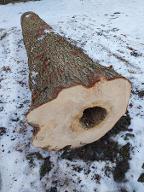 Rundholz Tanne Mit Loch Hofstetten