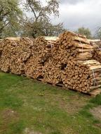 Brennholz Esche, Buche