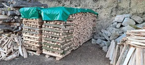 Brennholz Brennholz Esche