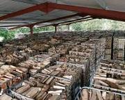 Brennholz Birke Brennholz Buche 33 cm – 1 RM auf Palette