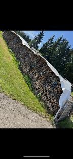 Brennholz Esche, Ahorn, Buche