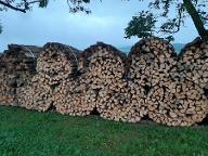 Brennholz Esche, Eiche, Buche