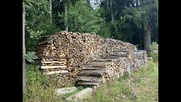 Brennholz Esche, Eiche, Buche Brennholz Hartholz
