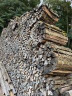 Brennholz Esche, Buche