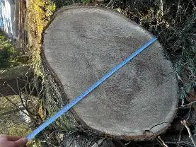 Rundholz Rundholz Eiche