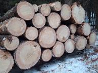 Rundholz Fichte Super Qualität