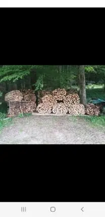 Brennholz Brennholz Esche, Eiche, Buche