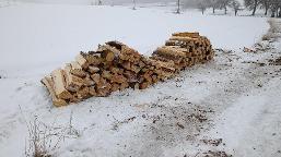 Brennholz Fichte, Kiefer Niederthalheim