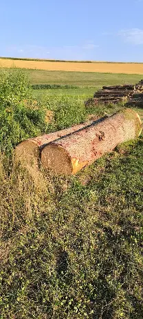 Rundholz Rundholz Fichte Gesund