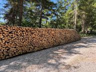 Brennholz Buche