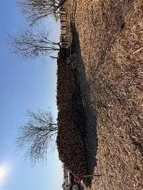 Brennholz Brennholz Eiche