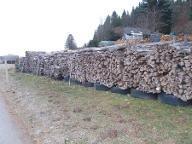 Brennholz Birke, Pappel, Buche