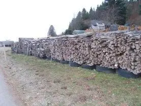 Brennholz Brennholz Birke, Eiche, Buche