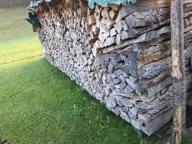Brennholz Brennholz Esche, Buche