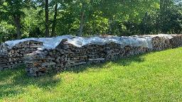 Brennholz Sonstiges Holz, Eiche, Buche Bad Radkersburg