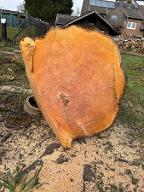 Rundholz Birne Grevenbroich