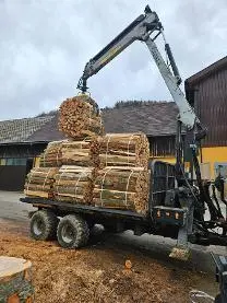 Brennholz Brennholz Buche