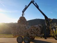 Brennholz Esche, Buche Brennholz Waldhausen 