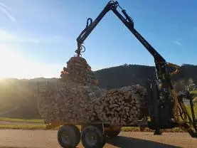 Brennholz Brennholz Esche, Buche Brennholz