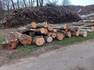 Rundholz Buche Deutsch Goritz