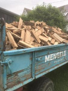 Brennholz Esche, Lärche, Buche