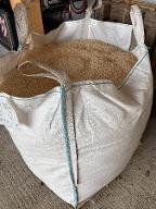 Sägespäne Buche Frisch Obergrünburg 